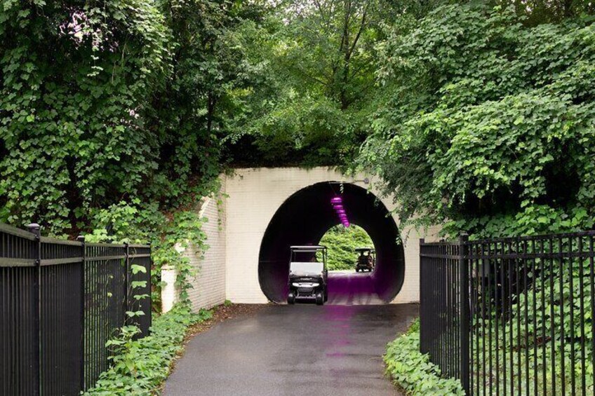 One of many hidden tunnels 