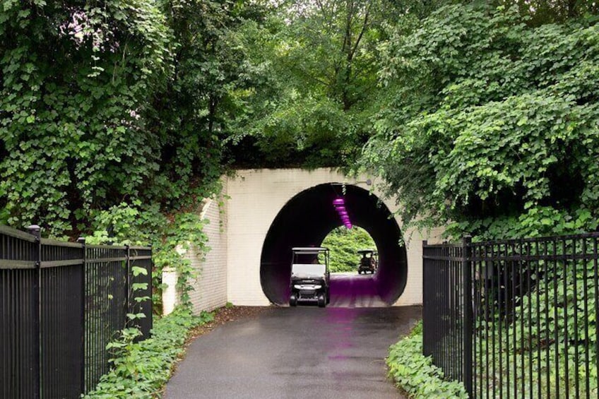 One of many hidden tunnels