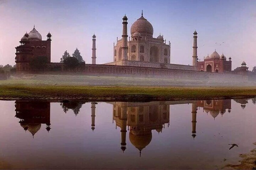 Golden Triangle Guided Tour in Just 5 Days