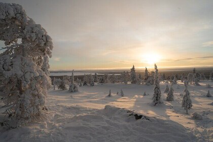 Riisitunturi Guided Hike with Photography