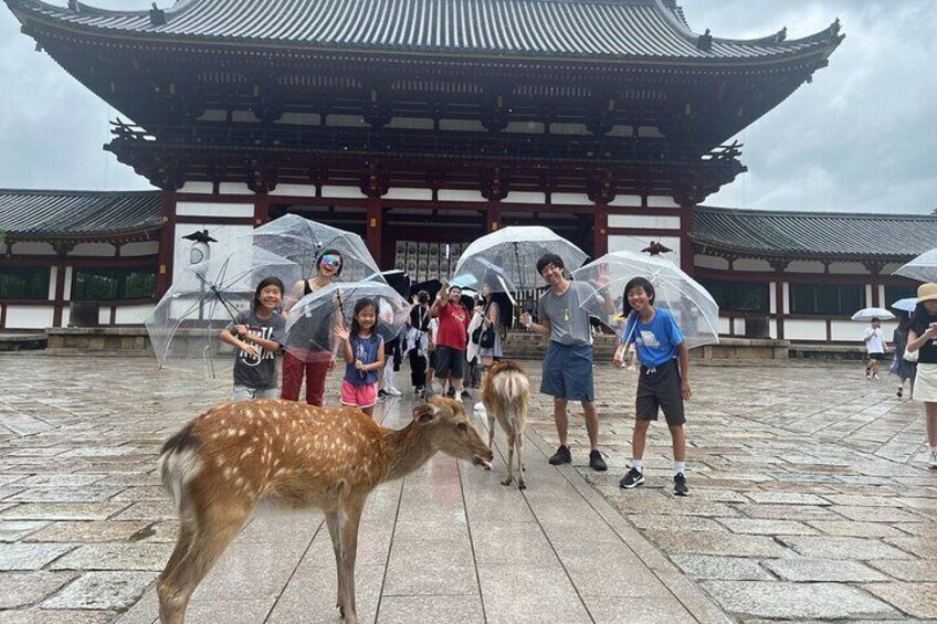 Private Story in Nara about Deer, Buddha, and You