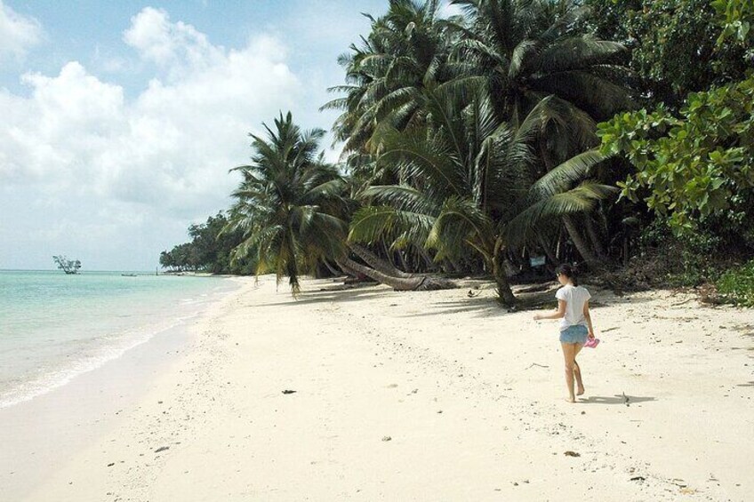 Tamil Nadu to Andaman: A Cultural & Coastal Adventure