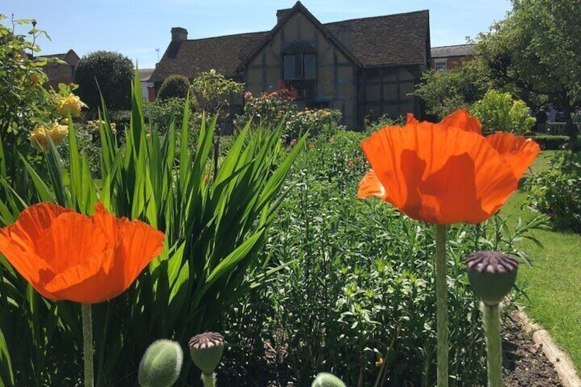 Shakespeare's Birthplace