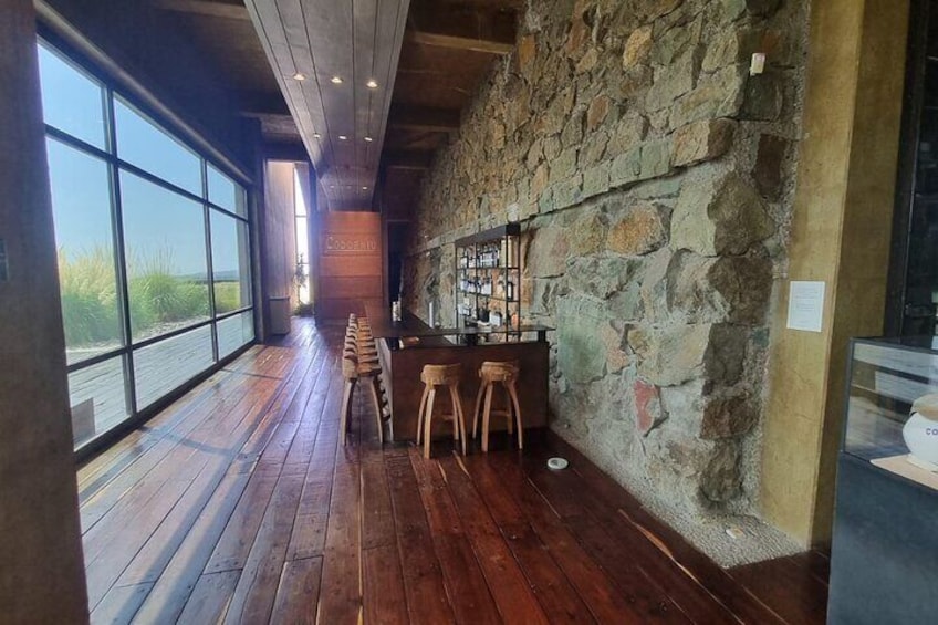Guided Tour in Catena Zapata with 2 Wineries