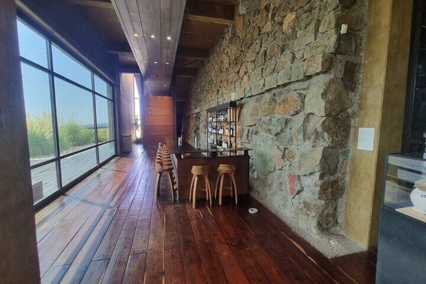 Guided Tour in Catena Zapata with 2 Wineries