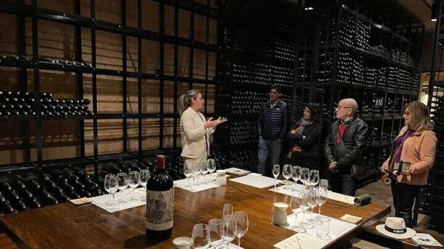 Guided Tour in Catena Zapata with 2 Wineries