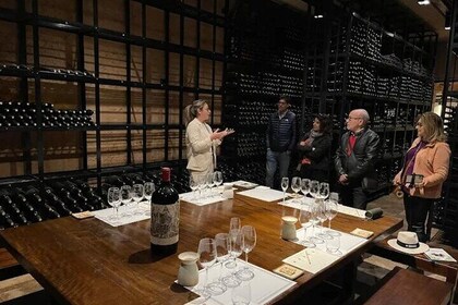 Visite guidée de Catena Zapata avec 2 caves