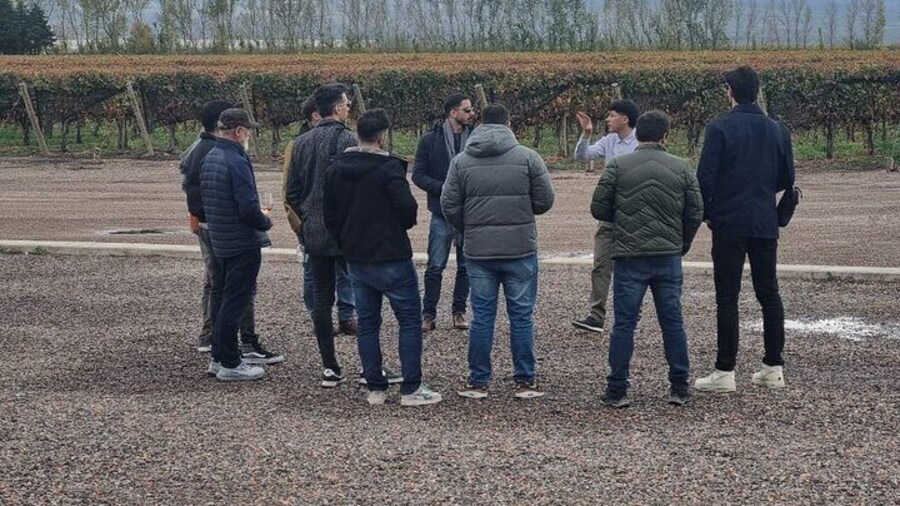 Guided Tour in Catena Zapata with 2 Wineries