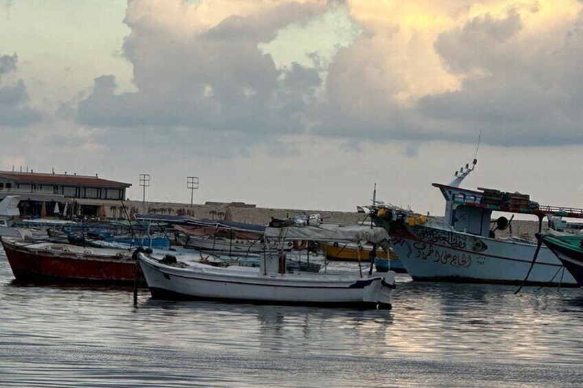 Full day tour to Alexandria 