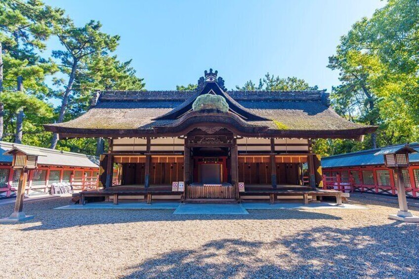 Most Memorable Walking and Food Tour in Osaka