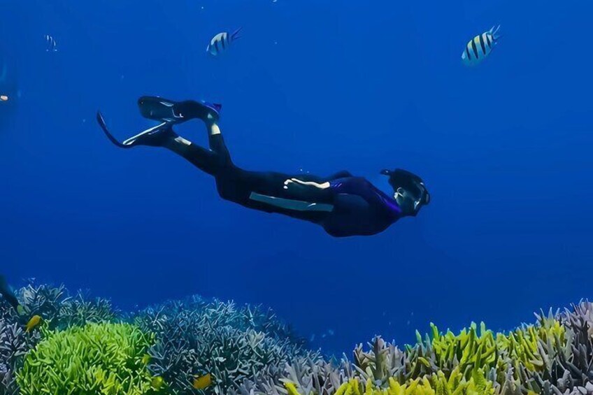 Private Snorkeling Trip Secret Gilis:Gili Nanggu,Sudak,Gili Kedis