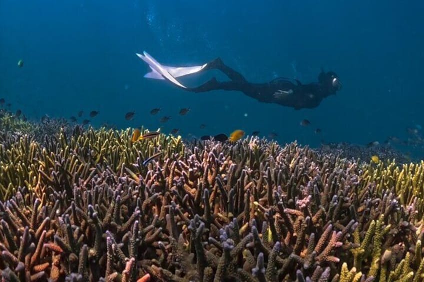 Private Snorkeling Trip Secret Gilis:Gili Nanggu,Sudak,Gili Kedis