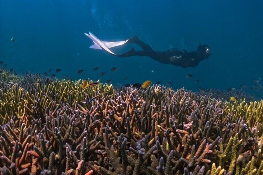 Private Snorkeling Trip Secret Gilis:Gili Nanggu,Sudak,Gili Kedis