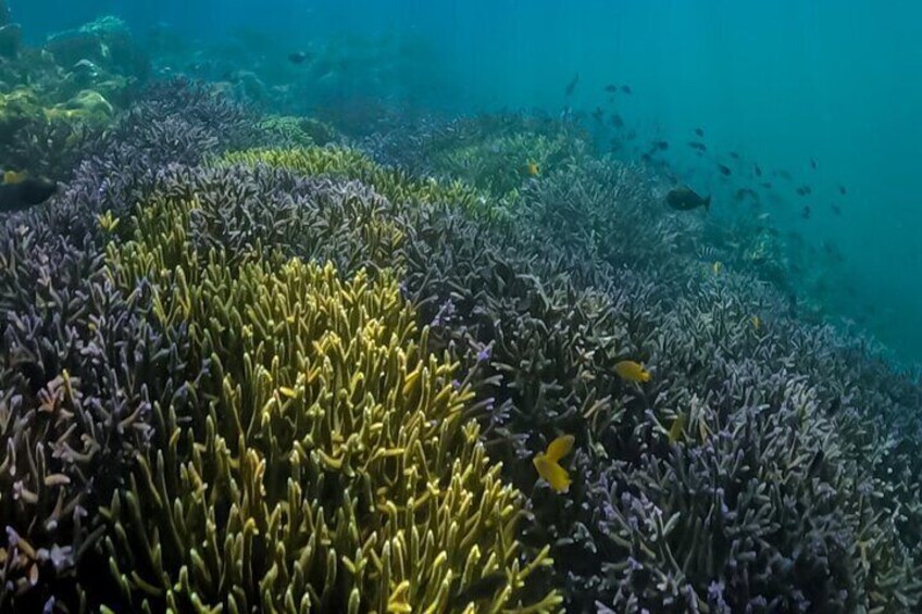 Private Snorkeling Trip Secret Gilis:Gili Nanggu,Sudak,Gili Kedis