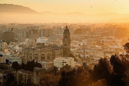 Alcazaba to Picasso Málaga’s Best in a Self-Guided Tour