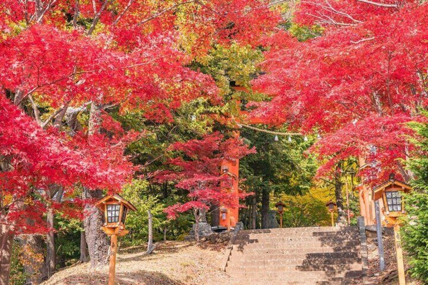 Mount Fuji popular instagrammable sightseeing tour (from Tokyo)