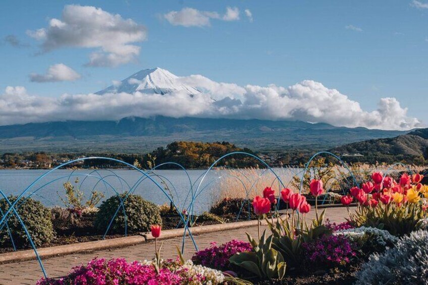 Mount Fuji popular instagrammable sightseeing tour (from Tokyo)