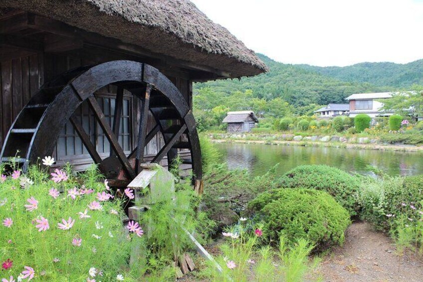 Mount Fuji popular instagrammable sightseeing tour (from Tokyo)