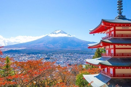 Mount Fuji popular instagrammable sightseeing tour