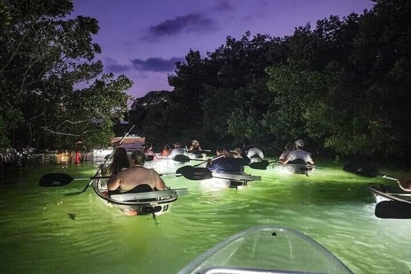 Venice Clear Kayak Glass Bottom LED Night Tour