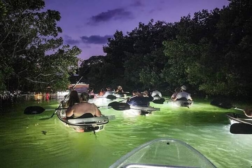 Venice Clear Kayak Glass Bottom LED Night Tour