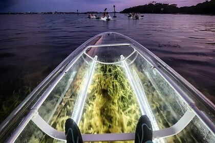Venice Clear Kayak Glass Bottom LED Night Tour