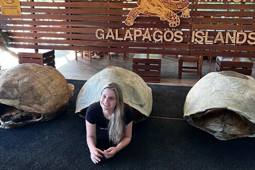 Underground Adventure Lava Tunnels and Giant Turtles