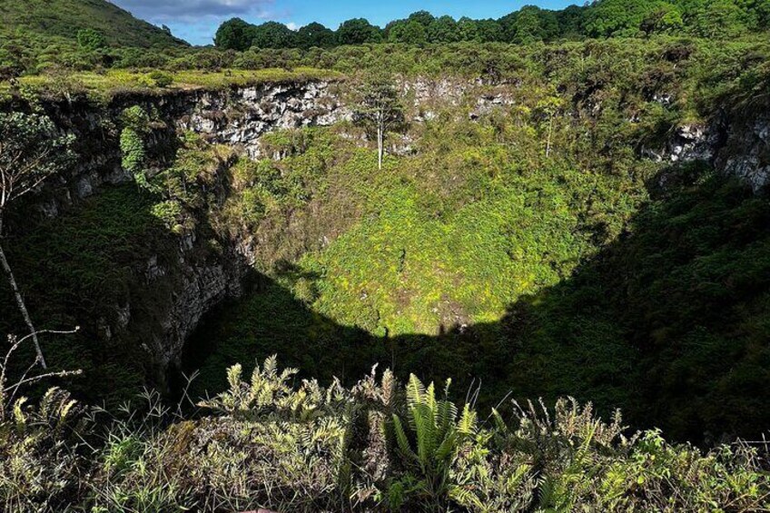 Underground Adventure Lava Tunnels and Giant Turtles