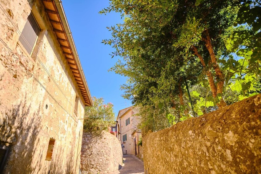 Siena, San Gimignano and Monteriggioni Tour from Florence