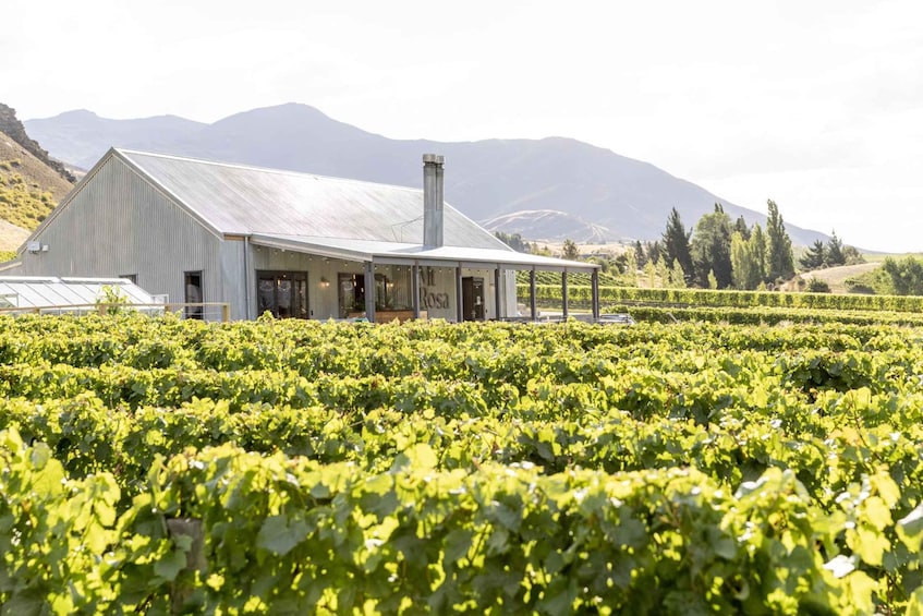 Gibbston: Mt Rosa Wine Tasting Experience