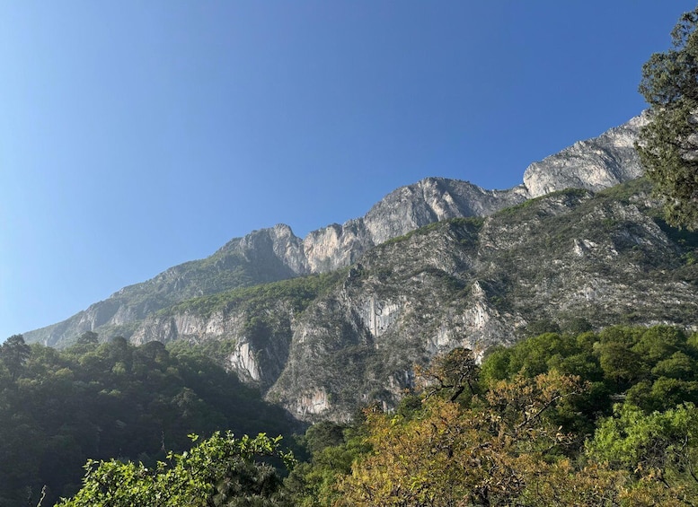 Picture 2 for Activity Chipinque Natural Park - Morning / Afternoon Hike