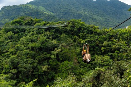 Excursión en tirolina y Puente Jorullo