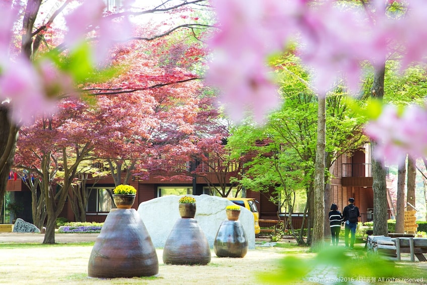 South Korea: Nami Island Admission