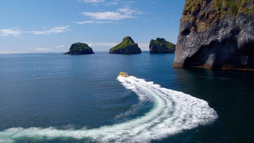 Vestmannaeyjar: One Hour Small Islands Trip
