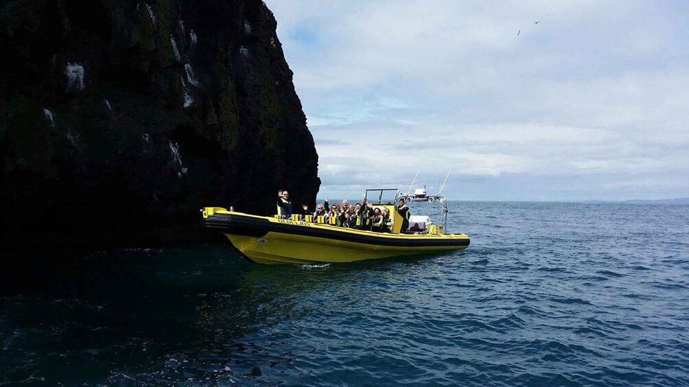 Picture 2 for Activity Vestmannaeyjar: One Hour Small Islands Trip