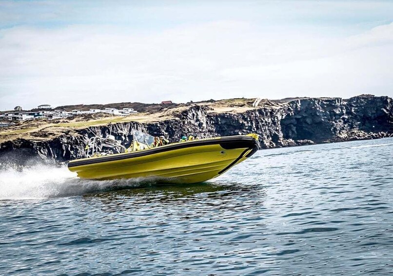 Picture 4 for Activity Vestmannaeyjar: One Hour Small Islands Trip