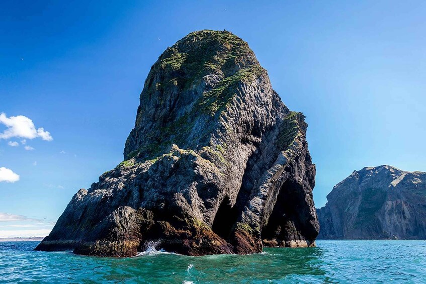 Picture 3 for Activity Vestmannaeyjar: One Hour Small Islands Trip