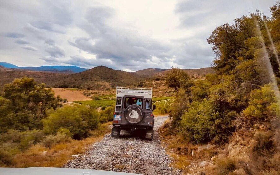 Wine safari
