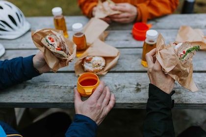 Geiranger: E-Bike and Hike to Haugsetsætra with Local Lunch