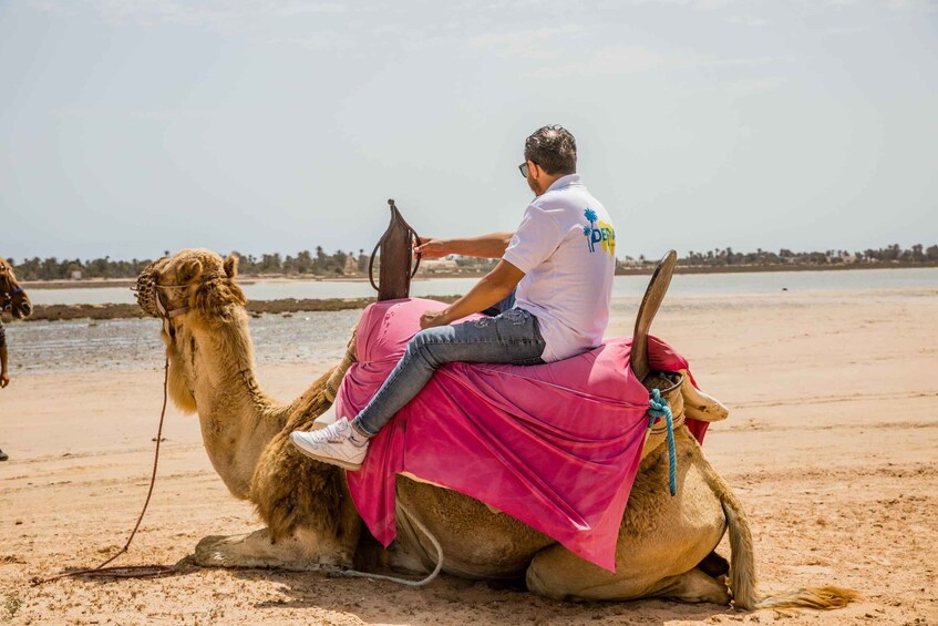 Picture 19 for Activity Family Pack: Book 3 excursions and enjoy 1 for free