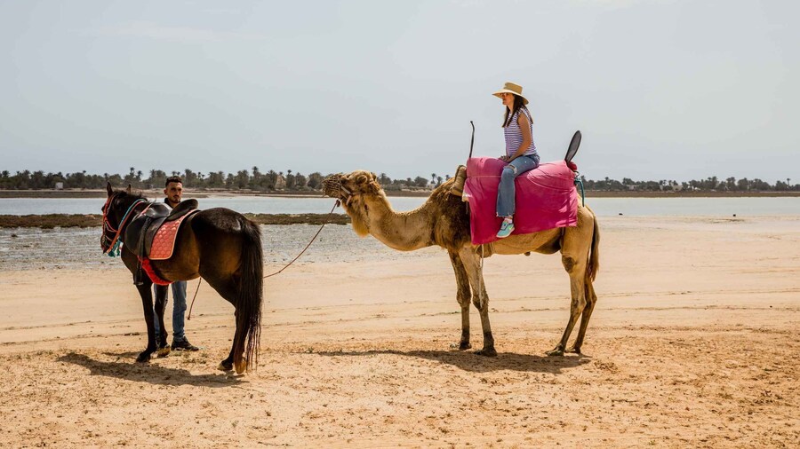 Family Pack: Book 3 excursions and enjoy 1 for free