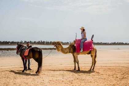 Family Pack: Book 3 excursions and enjoy 1 for free