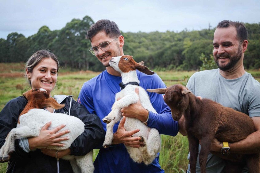 Hilo: Bottle Feed & Cuddle Baby Goats