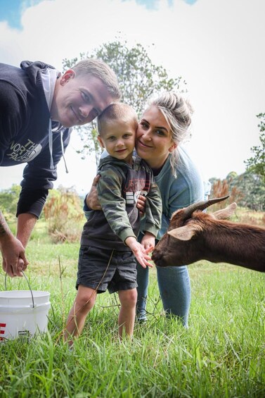 Picture 4 for Activity Hilo: Bottle Feed & Cuddle Baby Goats