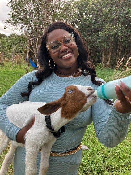 Picture 2 for Activity Hilo: Bottle Feed & Cuddle Baby Goats