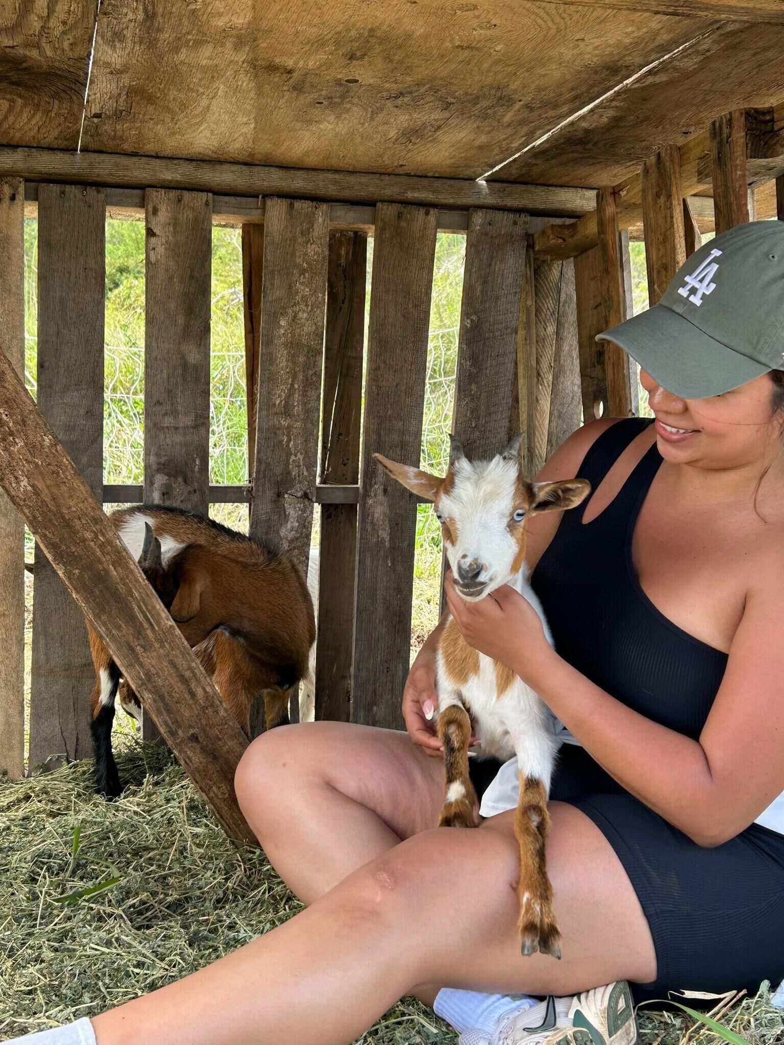Big Island: Bottle Feed & Cuddle Baby Goats