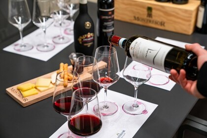 Weinerlebnis im Weingut Montresor in Verona