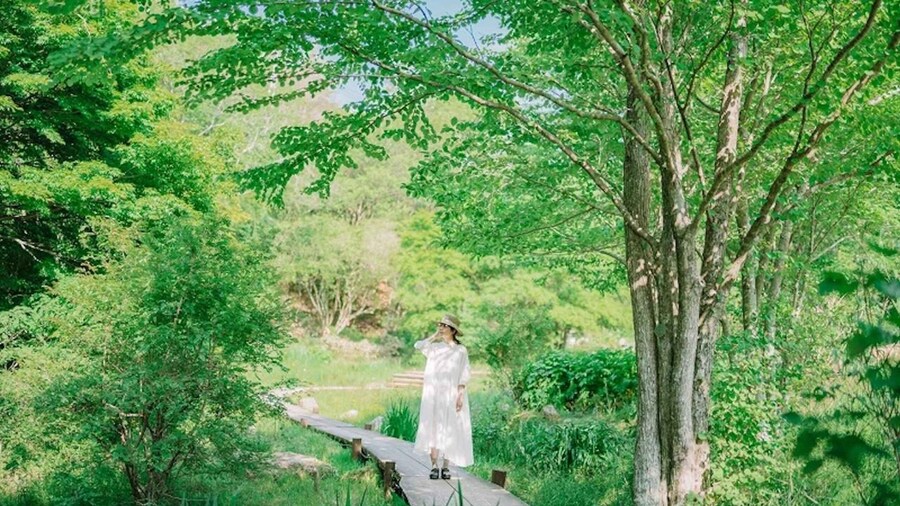 Kobe: Rokko Forest Sound Museum Admission Ticket