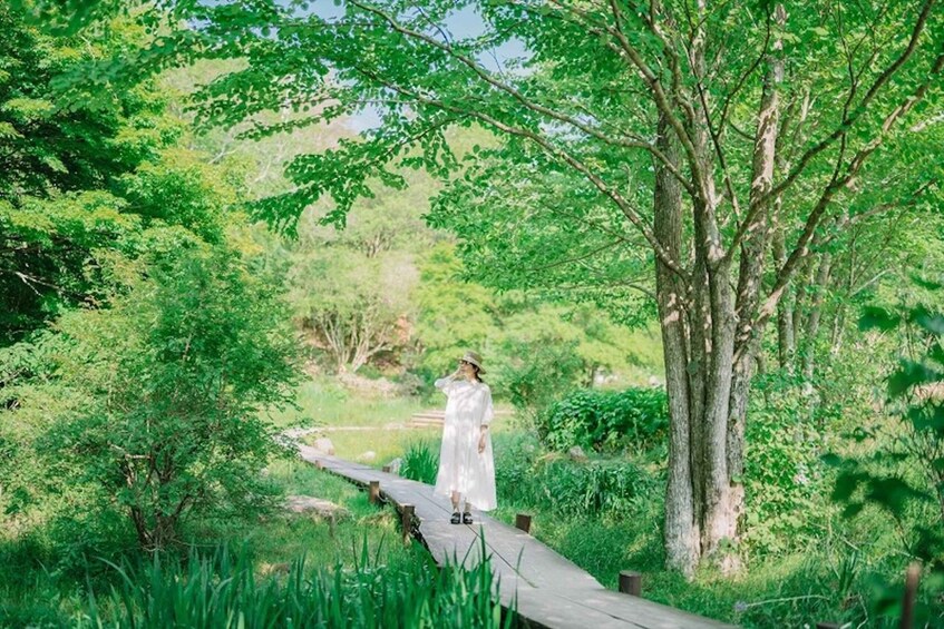 Kobe: Rokko Forest Sound Museum Admission Ticket