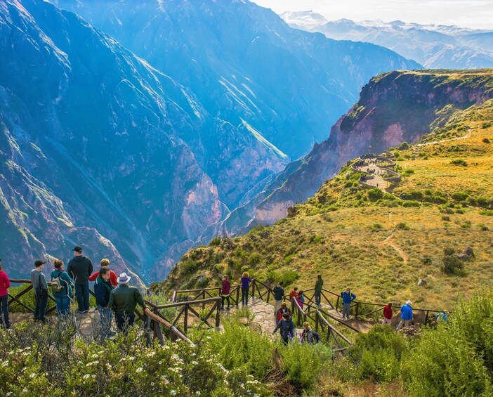 From Arequipa: Hiking Tour to Colca Canyon 2 days 1 night